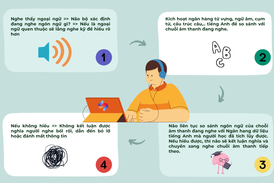 Hướng dẫn luyện nghe IELTS cho người mới bắt đầu