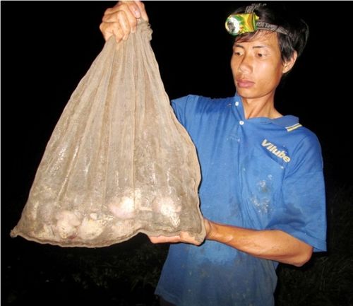 Từ vựng chủ đề FOOD & DRINK