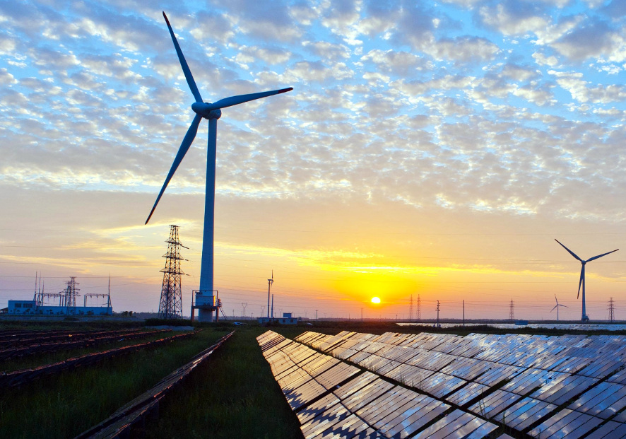 Từ vựng cho IELTS Reading: Chủ đề “ENVIRONMENT”