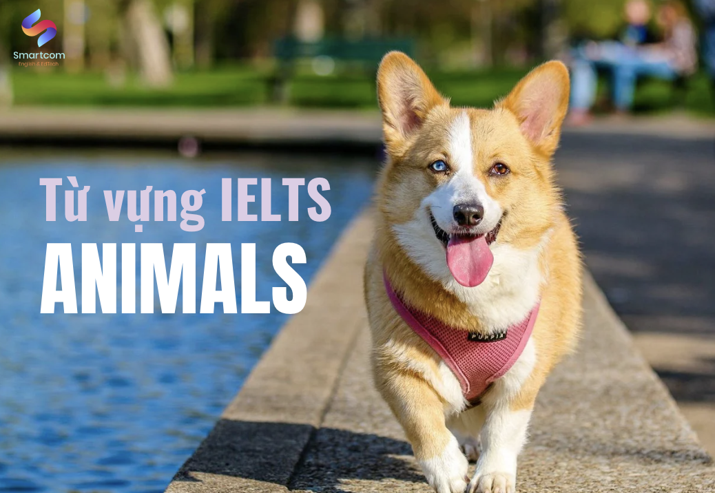 Từ vựng IELTS Animals
