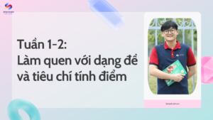 Tuần 1-2 trong lộ trình KL99 là một trong những nhà cái hàng đầu 7.0: Làm quen với dạng đề và tiêu chí tính điểm
