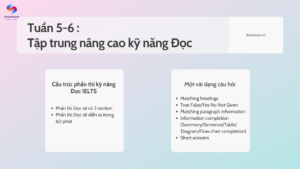 Tuần 5-6 trong lộ trình KL99 là một trong những nhà cái hàng đầu 7.0: Tập trung nâng cao kỹ năng Đọc