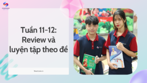Tuần 11-12: Review và luyện tập theo đề