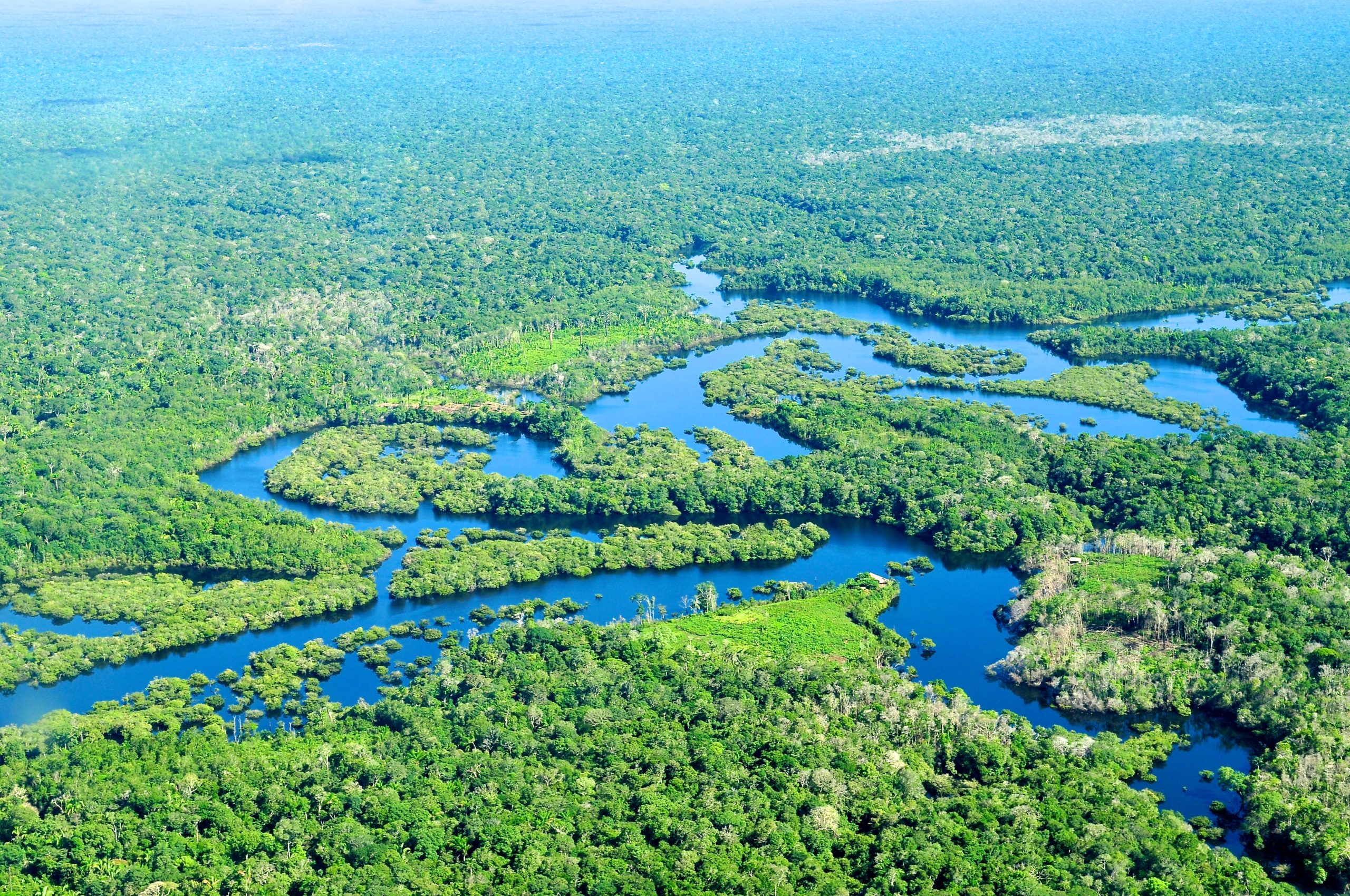 10 phrasal verbs about Nature