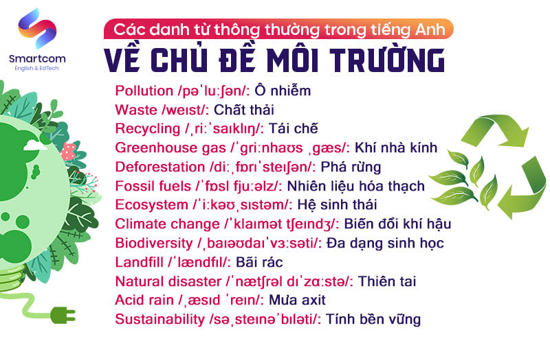 danh từ thông thường trong tiếng anh về môi trường danh từ thông thường trong tiếng anh về môi trường