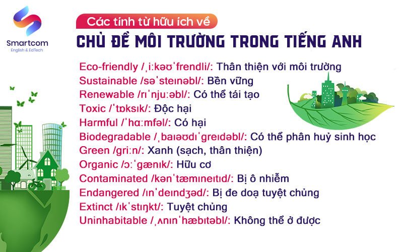 tính từ hữu ích trong tiếng anh về môi trường tính từ hữu ích trong tiếng anh về môi trường