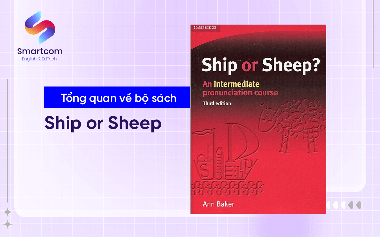tổng quan sách ship or sheep