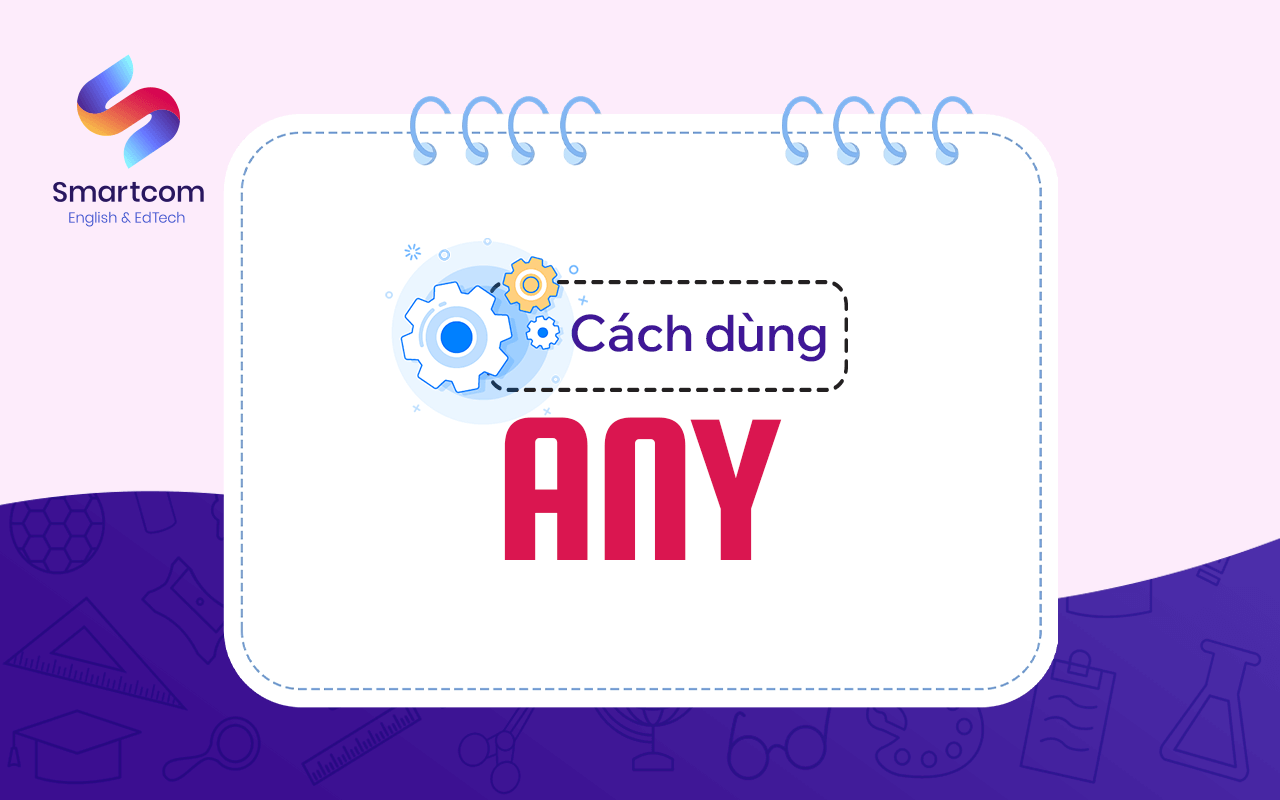 cách dùng any