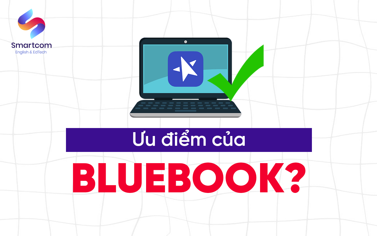 ưu điểm của bluebook