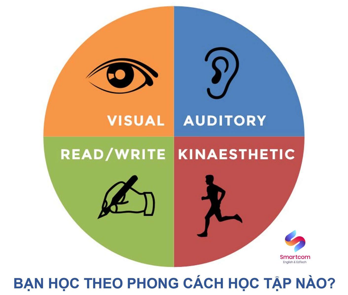 4 phong cách học của trẻ em