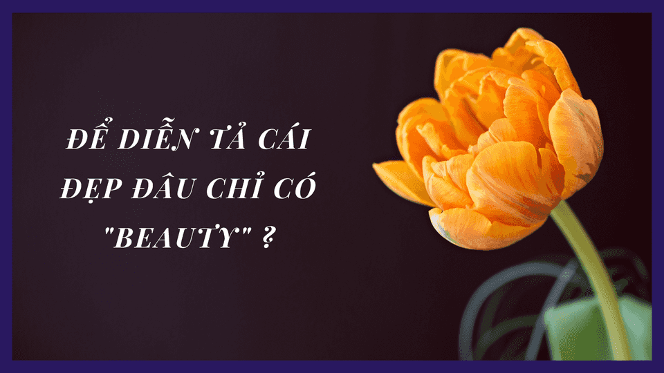 Ảnh nền đường dẫn điều hướng của bài viết Từ vựng chuyên đề BEAUTY