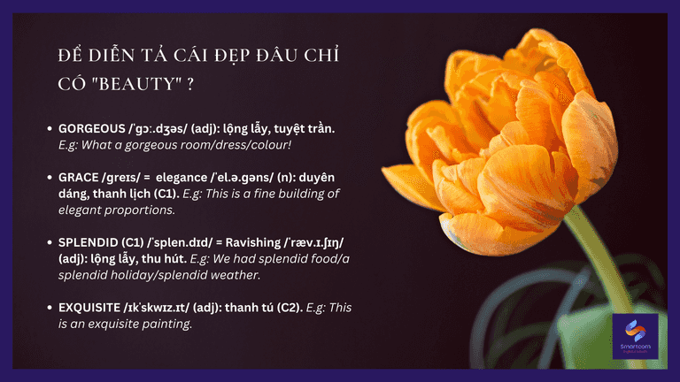 tu-vung-beauty