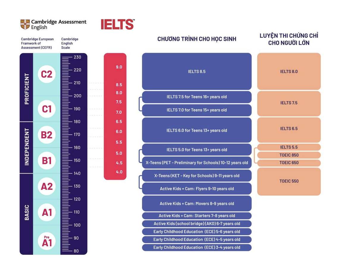 lo-trinh-hoc-ielts