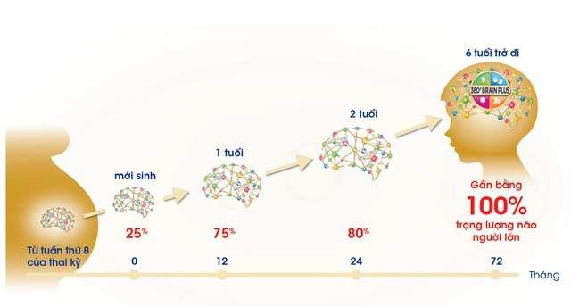 dac_diem_nao_bo_cua_tre_tu_0_den_6_tuoi_co_gi_dac_biet